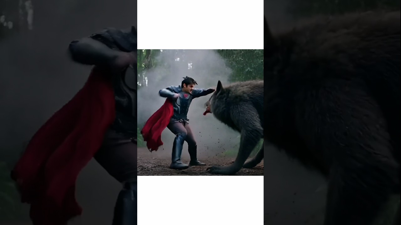 balveer dog fight and balveer fox fight 