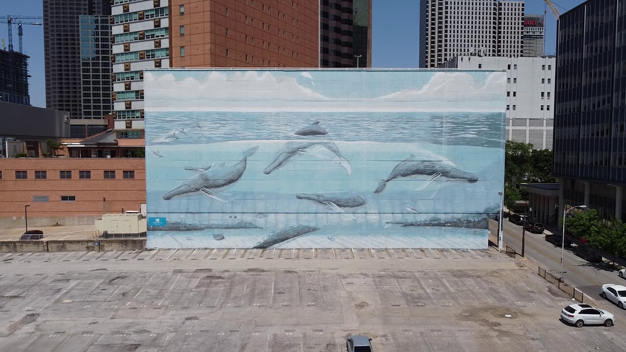 Whale Mural Dallas, TX