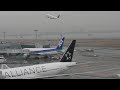 ✈[4K] スターアライアンス 2機 ANA B777 JA711A/JA712A @Haneda Airport(羽田空港)