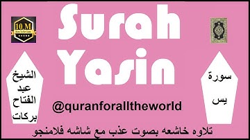 6636042  سوره يس 036  Syeikh Abdul Fattah surah yasin عبدالفتاح بركات @quranforalltheworld