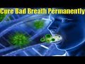 How To Cure Bad Breath & Mouth Odour Permanently Natural Remedies For Bad Breath From Stomach & Nose