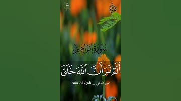 سوره ابراهيم بصوت خاشع❤🌺||قرآن كريم||حالات واتس اب||Quran status