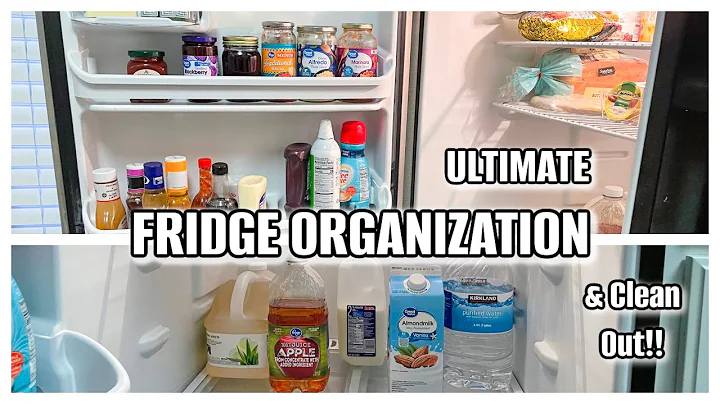 FRIDGE ORGANIZATION AND CLEAN OUT | Moldy Leftover...