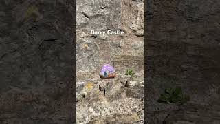 Barry Castle Tour