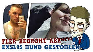 FLER bedroht ABK?! EXSLs HUND GESTOHLEN! / MONTES HANDYSPIEL  - Cake News #112