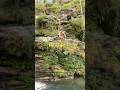 That Free Fall Feeling Ha Giang Loop Adventure Travel Waterfall Nature
