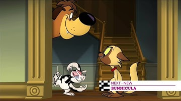 CN 4.0 | NEXT | NEW Bunnicula