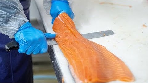 How Salmon Is Made | How Salmon is processed