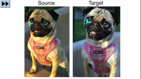 Transfusive Image Manipulation