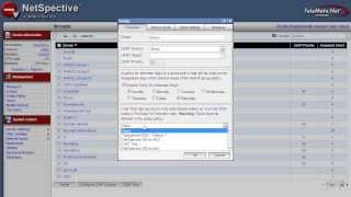 NetSpective LDAP Users, Groups, and Manager Integration