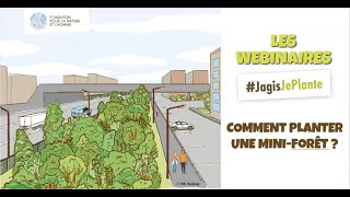 Webinaire - J'apprends à planter une mini-forêt Miyawaki