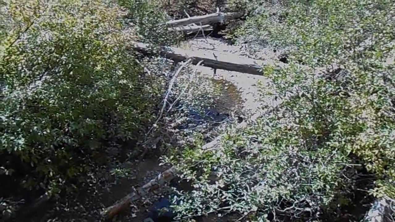 PINE LODGE TAHOMA CALIFORNIA