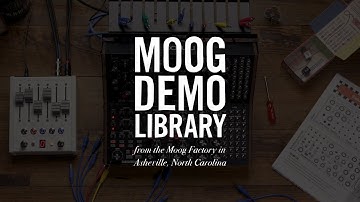 Moog Sound Studio: Subharmonicon & DFAM | Salute the Morning