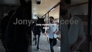 Jony купил себе коня #jony