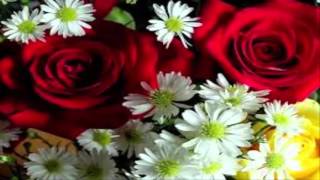 Surah maida by abdulrashiid ali suufi