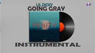 Lil dicky Going Gray Instrumental