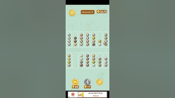 sort them out advanced level 13