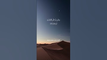 القارئ محمد عايض مسمار || طمئن قلبك ياغالي ❤️🩹