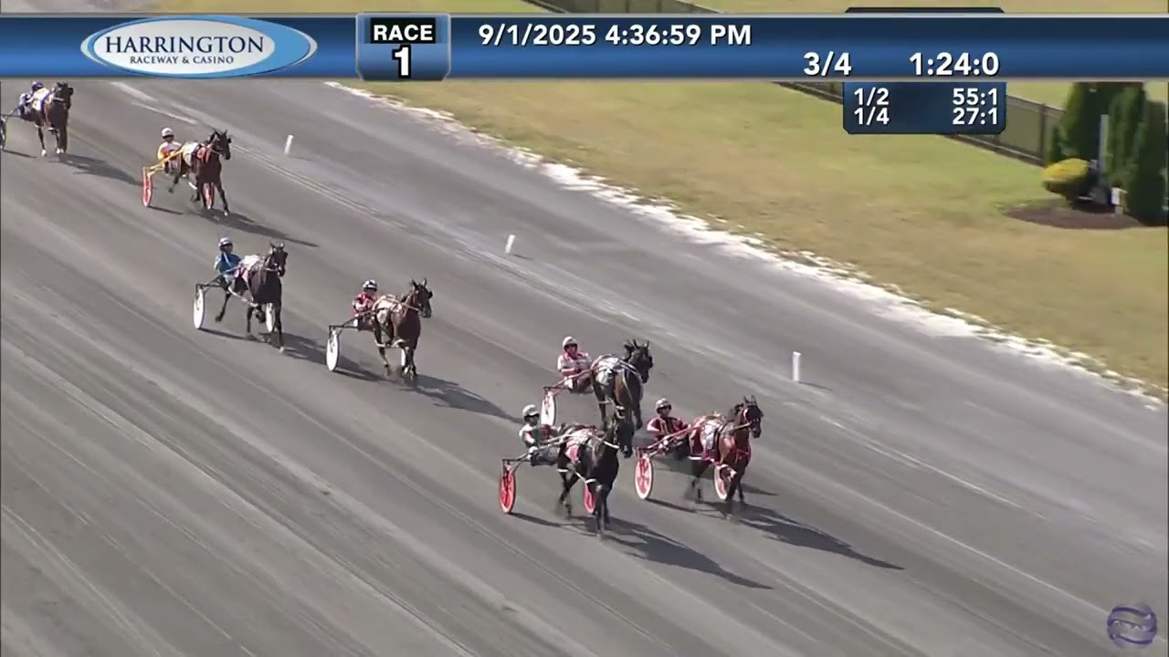 Lyons Black Magic Race 1 Harrington Raceway