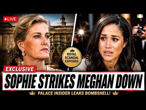 Uncovering The Truth: The Complete Sophie Vanmeter Leak Timeline