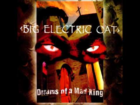 Big Electric Cat - Twisting man