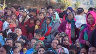 Miniatura de vídeo de "गोपे को ल्ह्याछार bisal Kaltan - Lhosar song"