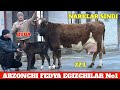 ARZONCHI FEDYA JANGDA BOLASI BUQA ESTON SHVET SIGIRLAR