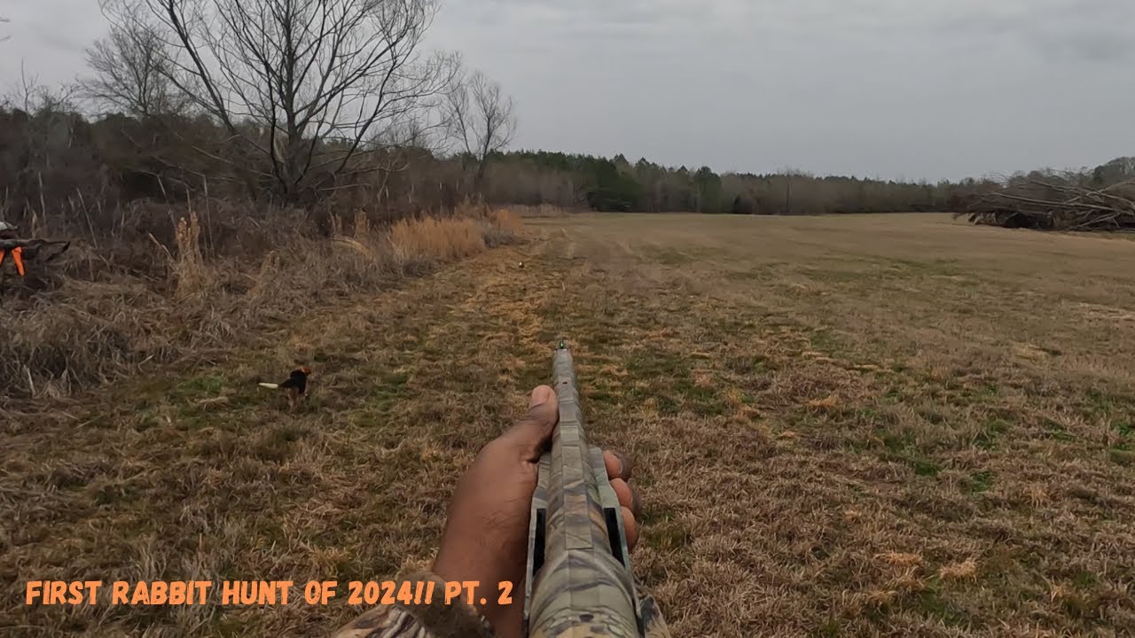 First Rabbit Hunt of 2024 Pt. 2 South MS Rabbit Hunting YouTube