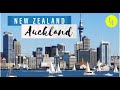 Окленд нашими глазами | Auckland in our eyes
