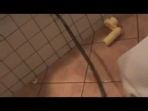 Podgląd video