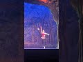 cinderella dress rehearsal vlog! #ballet #ballerina #pointe #pointeshoes #dance #dancer