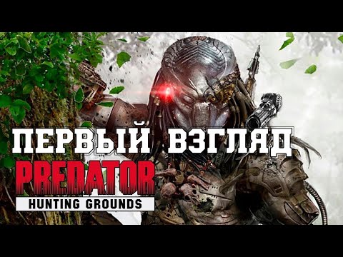 Видео: ПЕРВЫЙ ВЗГЛЯД Predator Hunting Grounds