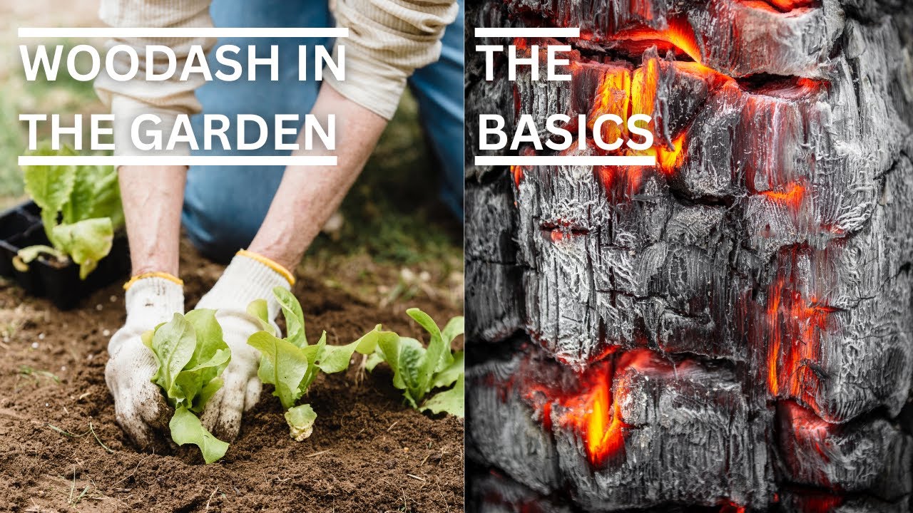 Gardening And Woodash: All You Need To Know - YouTube