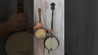 Banjo or Banjo Ukulele?