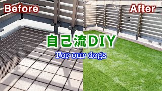 【DIY】愛犬のために屋上に人工芝張ってみた Renovation of the rooftop for dogs