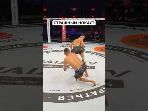 Страшный нокаут #mma #файтинг #ufc #naiza #мма #казах #бокс #алаш #нокаут #таджикистан #бапеш