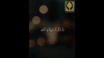 وَقُلِ الْحَمْدُ لِلَّهِ الَّذِي لَمْ يَتَّخِذْ وَلَدًا - القارئ فارس عباد 🌿💚