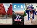 Answering your questions about belmont university in nashville  i qa