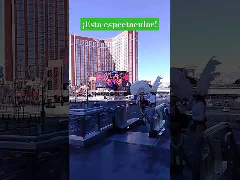 Crazy Amount of BONUS SPINS at Circa Resort and Casino