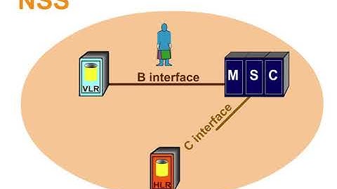 20 NSS Interface 2 Overview of NSS Interfaces
