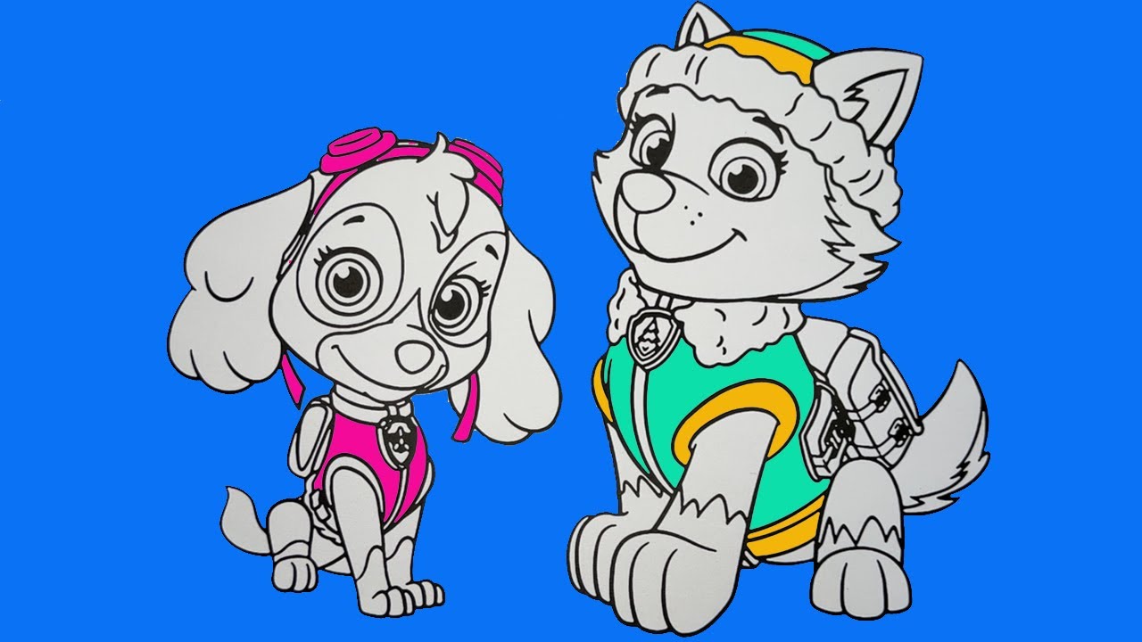 Paw Patrol Skye Everest Printables