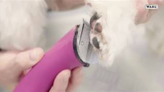 wahl creativa cordless clipper review