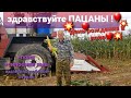 День Рождения у "ПАЦАНА" ! Заготовили кукурузную яму. Вылетело лобовое на Кировце. Сезон 2020