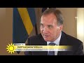 Stefan Löfven (S): "Vi måste diskutera över blockgränsen, det finns inget alter - Nyhetsmorgon (TV4)