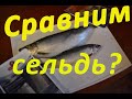 Сравним сельдь? Беларусь, Литва, Латвия или Исландия, чья сельдь вкуснее? #сельдь