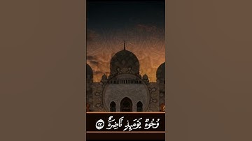 سورة القيامة من صلاة التهجد نسأل الله القبول 🤲