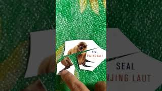 puzzle anjing laut || seal puzzle #shorts #short #shortvideo #puzzle