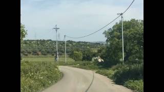 اربد - جنين الصفا