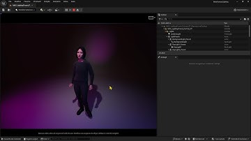 Videoguide - Animate Metahuman With Mixamo FBX Animation Using Quick Retargeting in Unreal