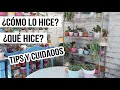 MI SUCULENTA ESTABA ENFERMA Y AHORA FLORECIÓ | TIPS Y CUIDADOS | MILICIENTA